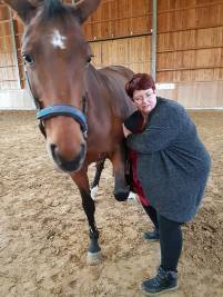 Pferdephysiotherapie
