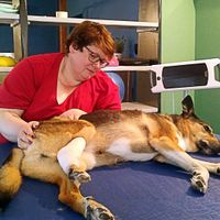 Hundephysiotherapie Daniela Lamers in Ense